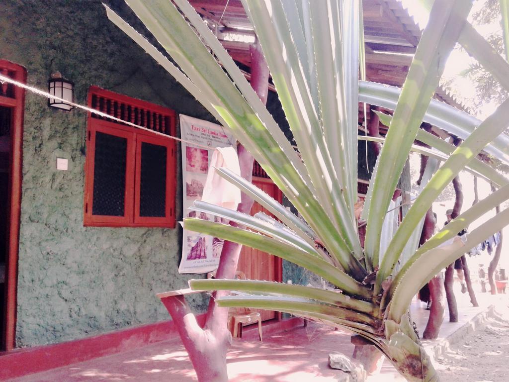 Bluesky Guest House Dambulla Exterior foto